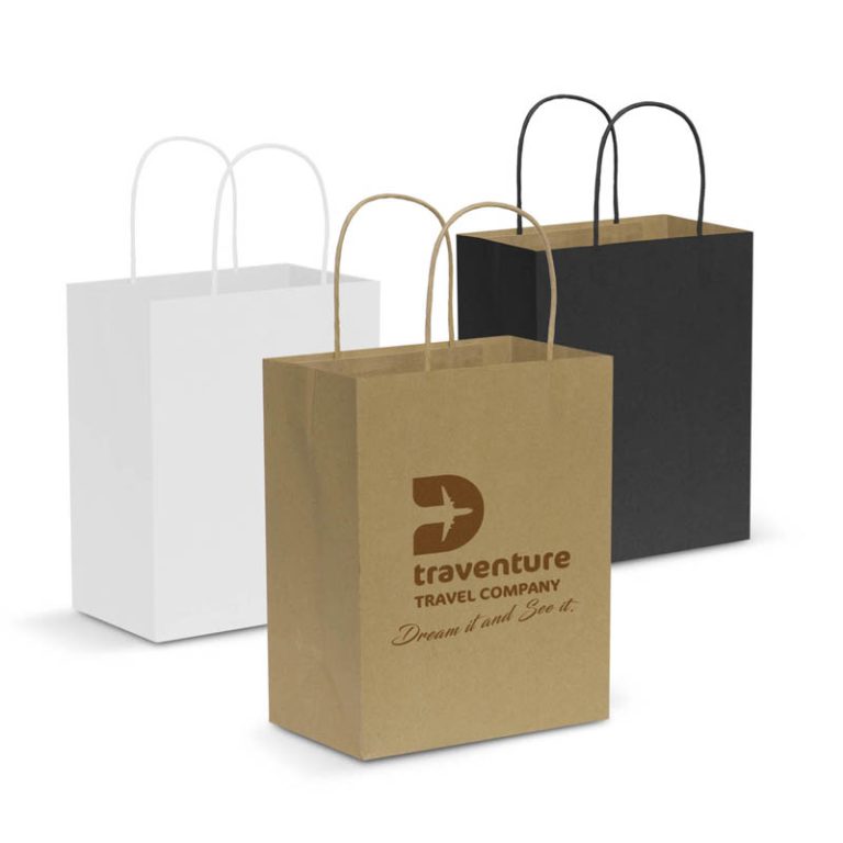 Paper Carry Bag - Medium-0