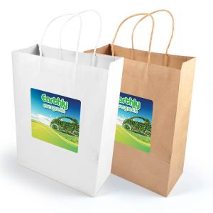 Express Paper Bag Large-0